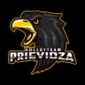 VolleyTeam Prievidza
