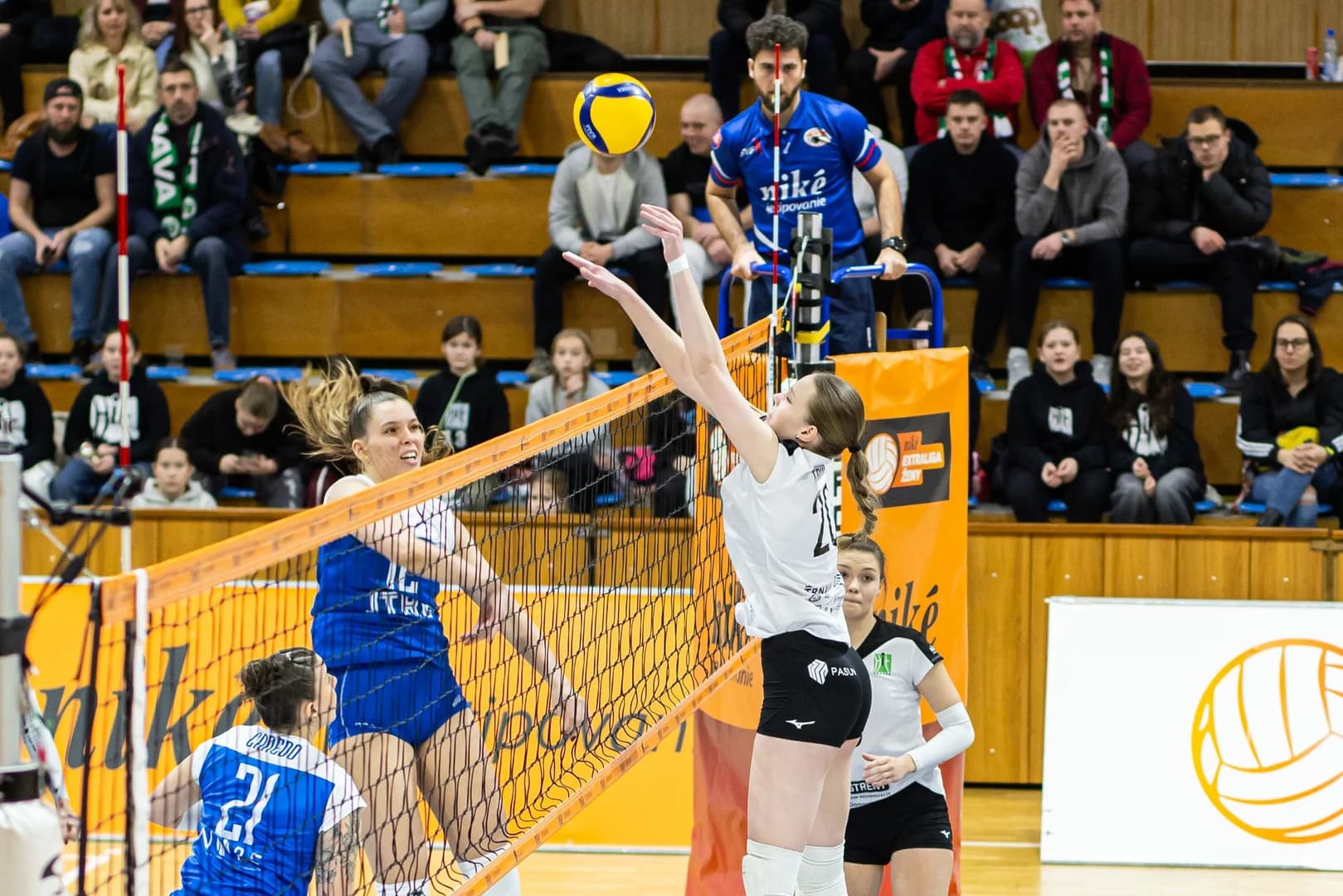 Pohľadom Petra Kalného: zápas 14. kola žien Trnava – VKP Bratislava