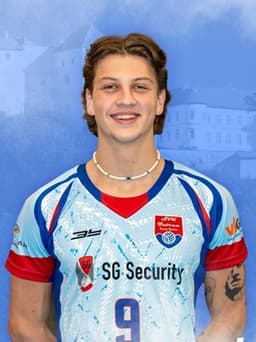 Alex Veselý